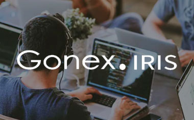 GONEX IRIS - AI 行业应用，帮助 HR 处理数据